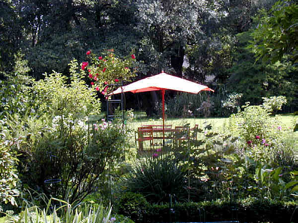 Im Garten