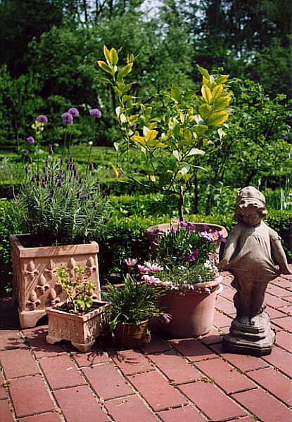 Im Garten